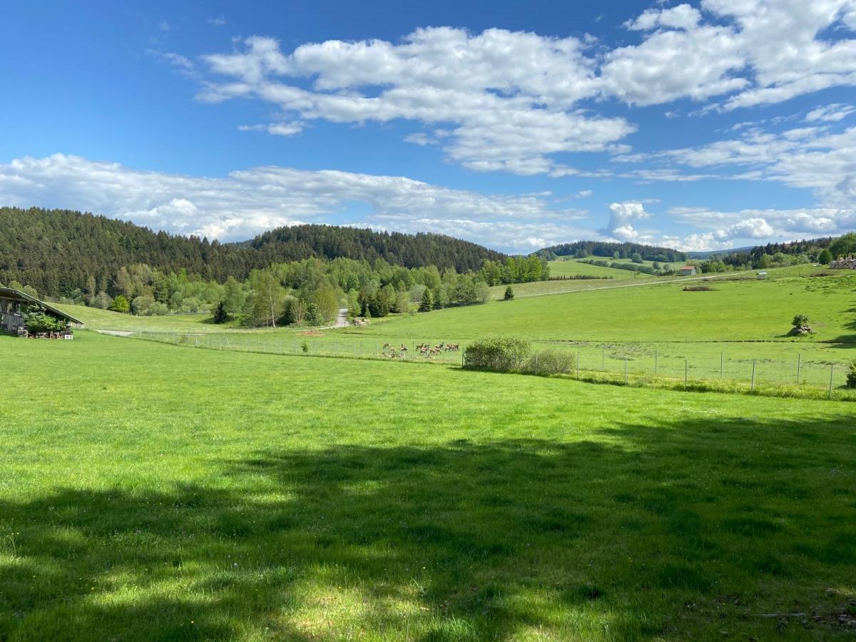 Ferienhaus Plattenstein Kirchberg  Eksteriør billede